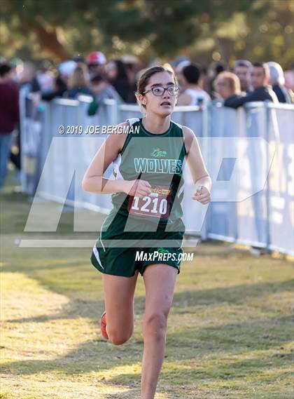 Thumbnail 3 in CIF Central Section Cross Country Championships (Girls D5 Race) photogallery.