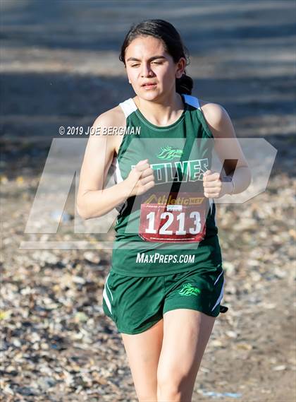 Thumbnail 2 in CIF Central Section Cross Country Championships (Girls D5 Race) photogallery.