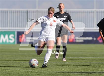 Thumbnail 2 in Olympus vs. Brighton (UHSAA 5A Final) photogallery.