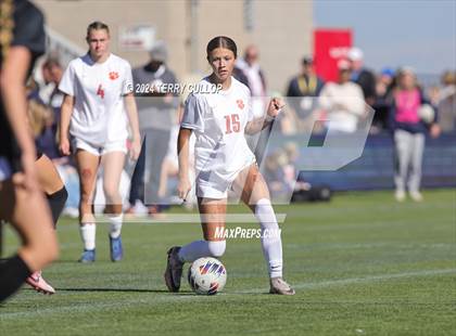 Thumbnail 2 in Olympus vs. Brighton (UHSAA 5A Final) photogallery.