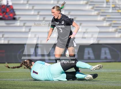 Thumbnail 1 in Olympus vs. Brighton (UHSAA 5A Final) photogallery.