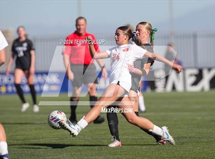 Thumbnail 1 in Olympus vs. Brighton (UHSAA 5A Final) photogallery.