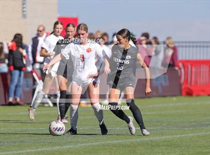 Thumbnail 2 in Olympus vs. Brighton (UHSAA 5A Final) photogallery.