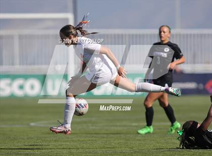 Thumbnail 2 in Olympus vs. Brighton (UHSAA 5A Final) photogallery.