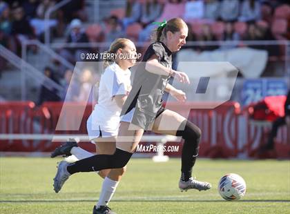 Thumbnail 2 in Olympus vs. Brighton (UHSAA 5A Final) photogallery.