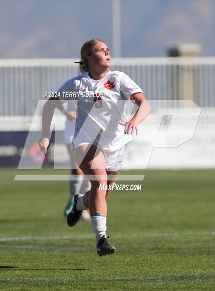 Thumbnail 1 in Olympus vs. Brighton (UHSAA 5A Final) photogallery.