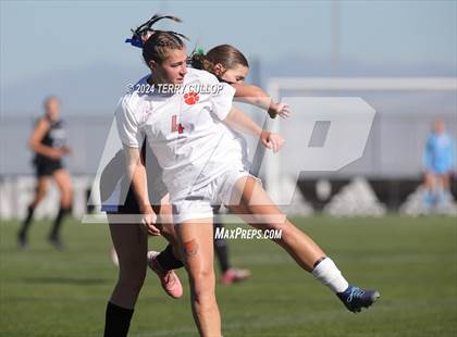 Thumbnail 1 in Olympus vs. Brighton (UHSAA 5A Final) photogallery.