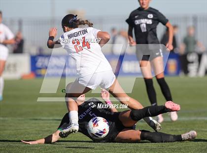 Thumbnail 1 in Olympus vs. Brighton (UHSAA 5A Final) photogallery.