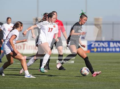 Thumbnail 1 in Olympus vs. Brighton (UHSAA 5A Final) photogallery.