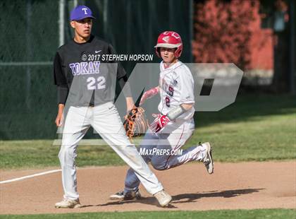 Thumbnail 1 in Tokay @ Lodi photogallery.