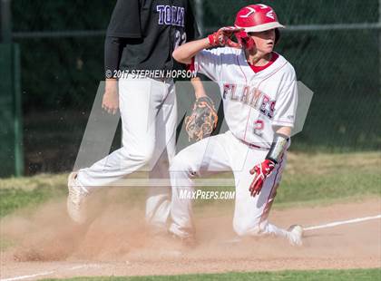 Thumbnail 1 in Tokay @ Lodi photogallery.