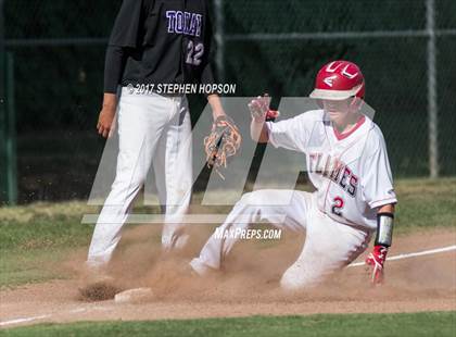 Thumbnail 3 in Tokay @ Lodi photogallery.