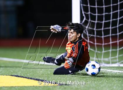 Thumbnail 1 in American @ Moreau Catholic photogallery.