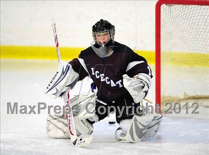 Thumbnail 3 in Brookfield/Bethel/Danbury @ Lyman Hall photogallery.