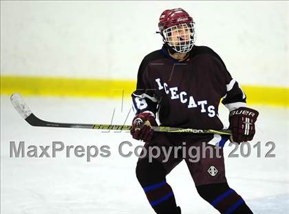 Thumbnail 2 in Brookfield/Bethel/Danbury @ Lyman Hall photogallery.