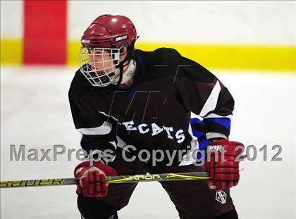 Thumbnail 3 in Brookfield/Bethel/Danbury @ Lyman Hall photogallery.