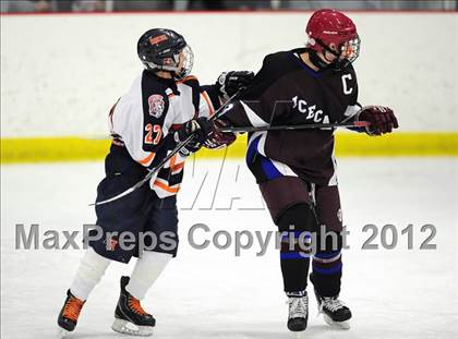 Thumbnail 2 in Brookfield/Bethel/Danbury @ Lyman Hall photogallery.