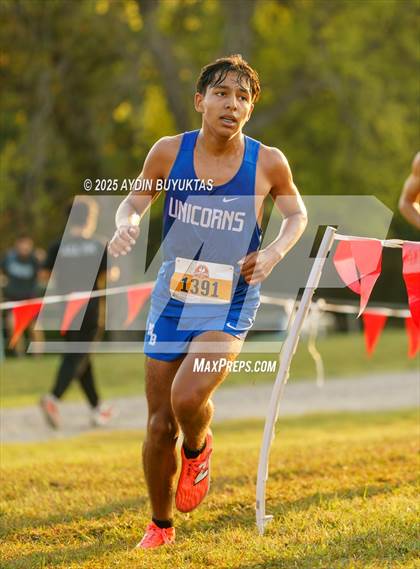 Thumbnail 1 in Lovejoy XC Fall Festival 2025 Boys Elite Varsity photogallery.
