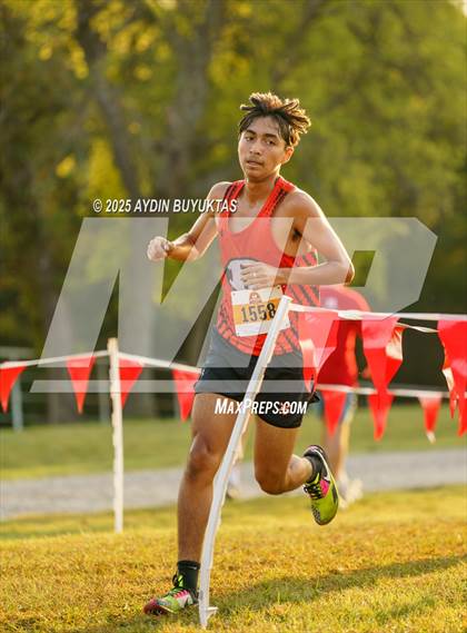 Thumbnail 3 in Lovejoy XC Fall Festival 2025 Boys Elite Varsity photogallery.