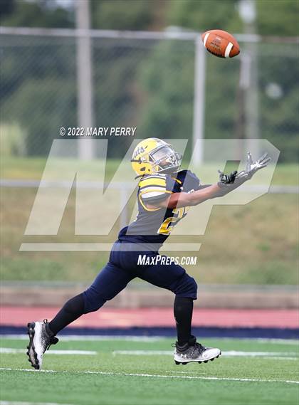 Thumbnail 3 in Western Beaver @ Shenango photogallery.
