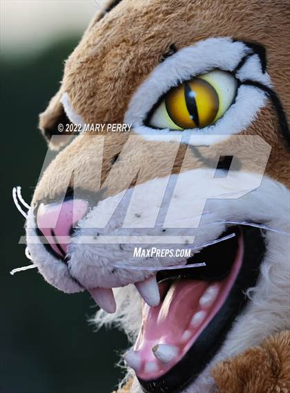 Thumbnail 1 in Western Beaver @ Shenango photogallery.