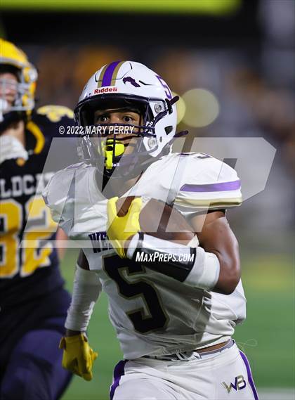 Thumbnail 1 in Western Beaver @ Shenango photogallery.