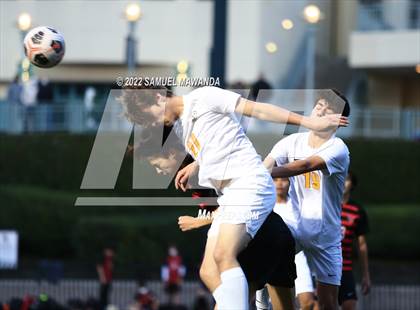Thumbnail 2 in Crespi @  Harvard-Westlake photogallery.