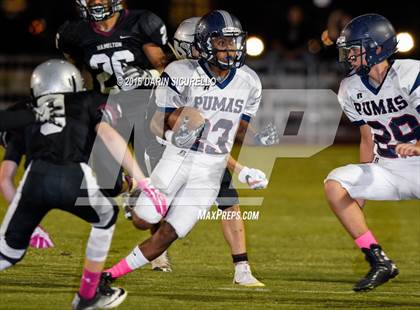 Thumbnail 1 in Hamilton vs Perry (Team A) photogallery.