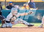 Photo from the gallery "St. Francis @ Crespi"