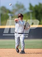 Photo from the gallery "St. Francis @ Crespi"