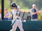 Photo from the gallery "St. Francis @ Crespi"
