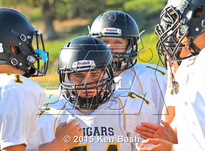 Thumbnail 2 in Ventura @ Camarillo photogallery.