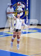 Photo from the gallery "Peaster @ Brock"