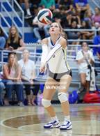 Photo from the gallery "Peaster @ Brock"