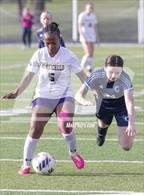 Photo from the gallery "Monticello @ Centennial"