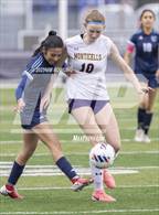 Photo from the gallery "Monticello @ Centennial"