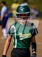 Photo from the gallery "Argonaut @ Amador"