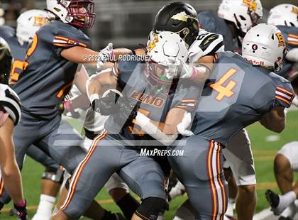 Thumbnail 2 in Canyon @ El Modena photogallery.