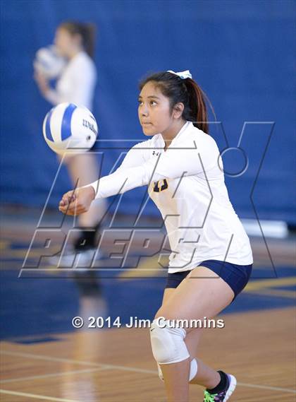 Thumbnail 1 in Leyden vs Addison Trail (Eagle Invite) photogallery.