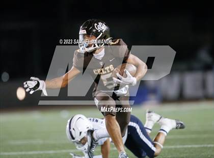 Thumbnail 1 in   Garfield @ Crespi photogallery.
