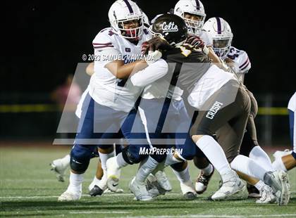 Thumbnail 1 in   Garfield @ Crespi photogallery.