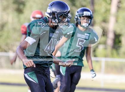 Thumbnail 1 in Springstead @ Weeki Wachee photogallery.
