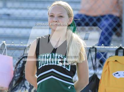 Thumbnail 3 in Springstead @ Weeki Wachee photogallery.