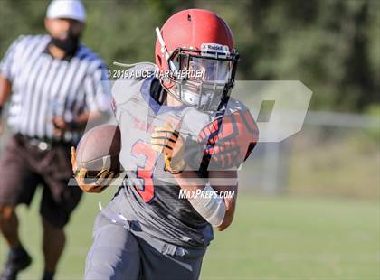 Thumbnail 1 in Springstead @ Weeki Wachee photogallery.