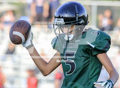 Thumbnail 2 in Springstead @ Weeki Wachee photogallery.