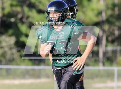 Thumbnail 3 in Springstead @ Weeki Wachee photogallery.