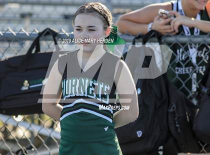 Thumbnail 1 in Springstead @ Weeki Wachee photogallery.