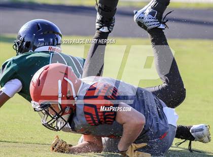 Thumbnail 1 in Springstead @ Weeki Wachee photogallery.