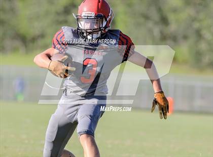 Thumbnail 2 in Springstead @ Weeki Wachee photogallery.