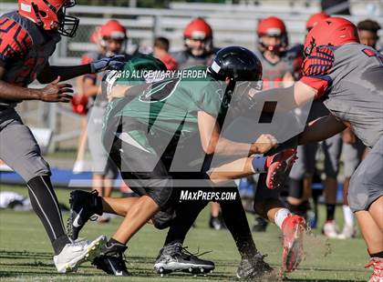 Thumbnail 1 in Springstead @ Weeki Wachee photogallery.